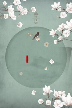 猫咪网最新入口